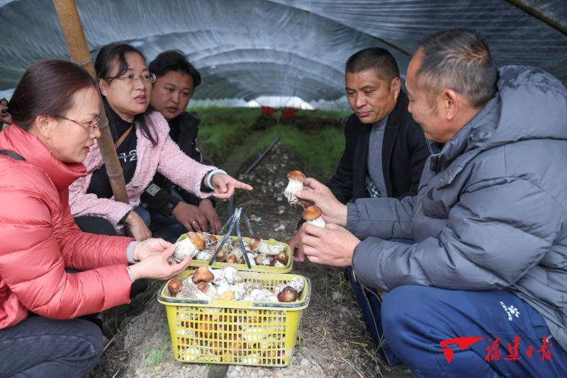 从三个“高光时刻”，解码特色现代农业发展之路(图3)