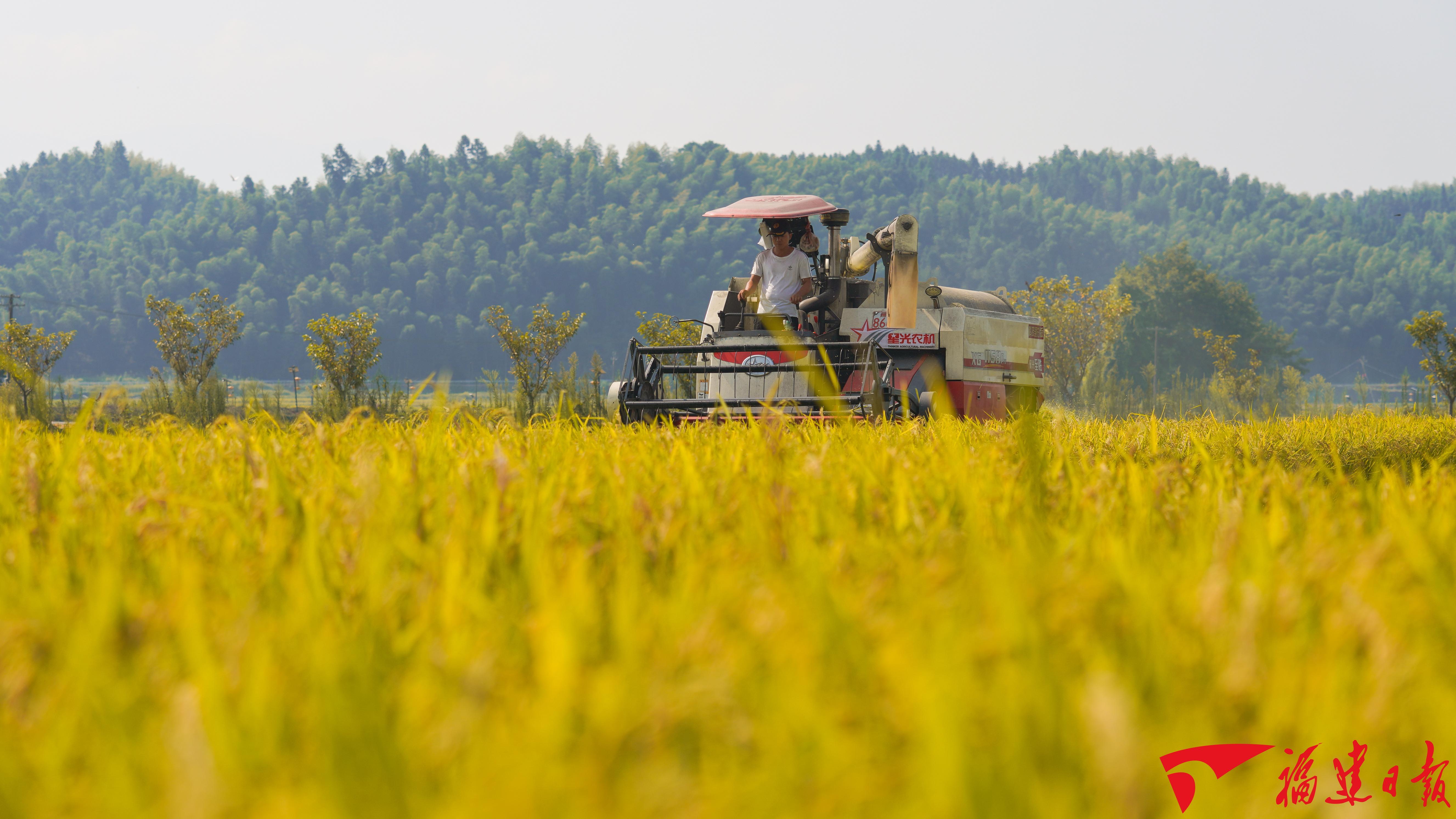 从三个“高光时刻”，解码特色现代农业发展之路(图8)