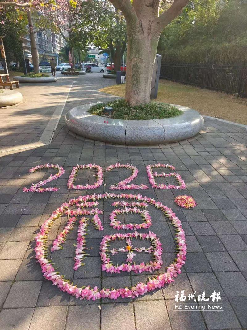 福建保安大叔巧手拼摆落花之美(图1)
