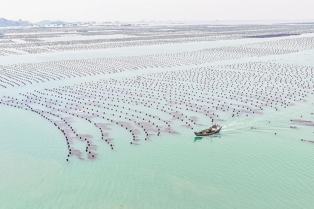福建多措并举，高效引导金融资源更多投向海洋领域——海洋金融赋能向海图强(图3)