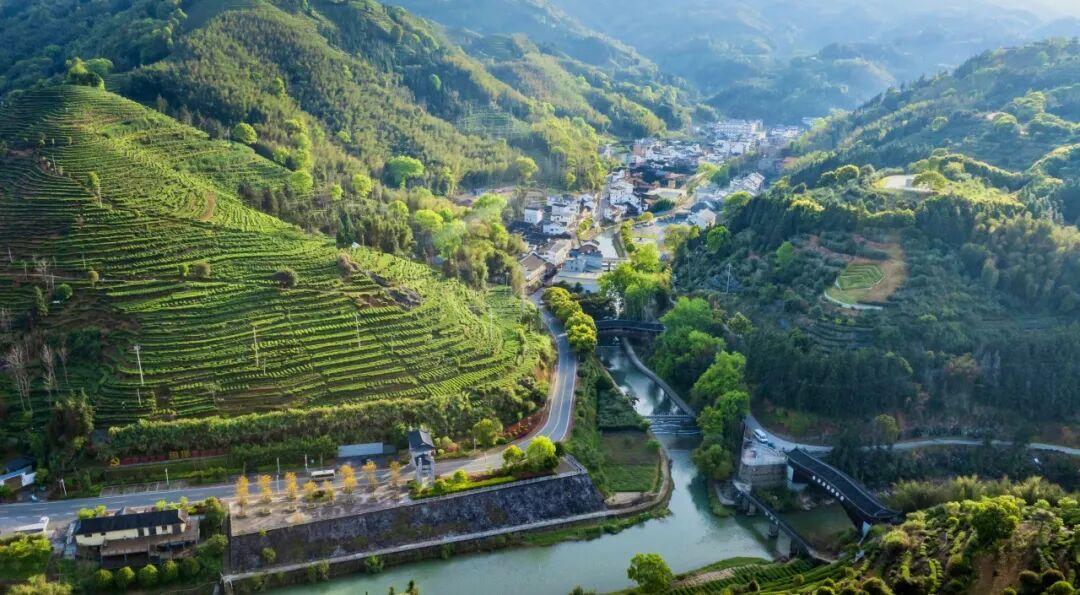 闽东坦洋工夫跨越百年，一枚邮戳传递世界茶