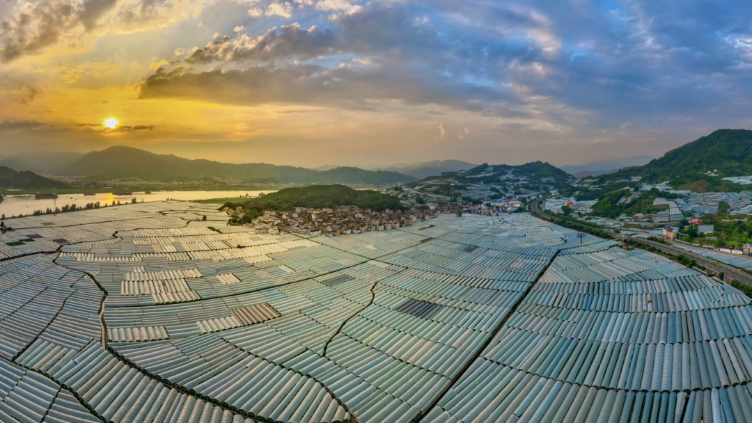 福建多地分享种地致富经，传统资源小省如何农业出彩？(图6)