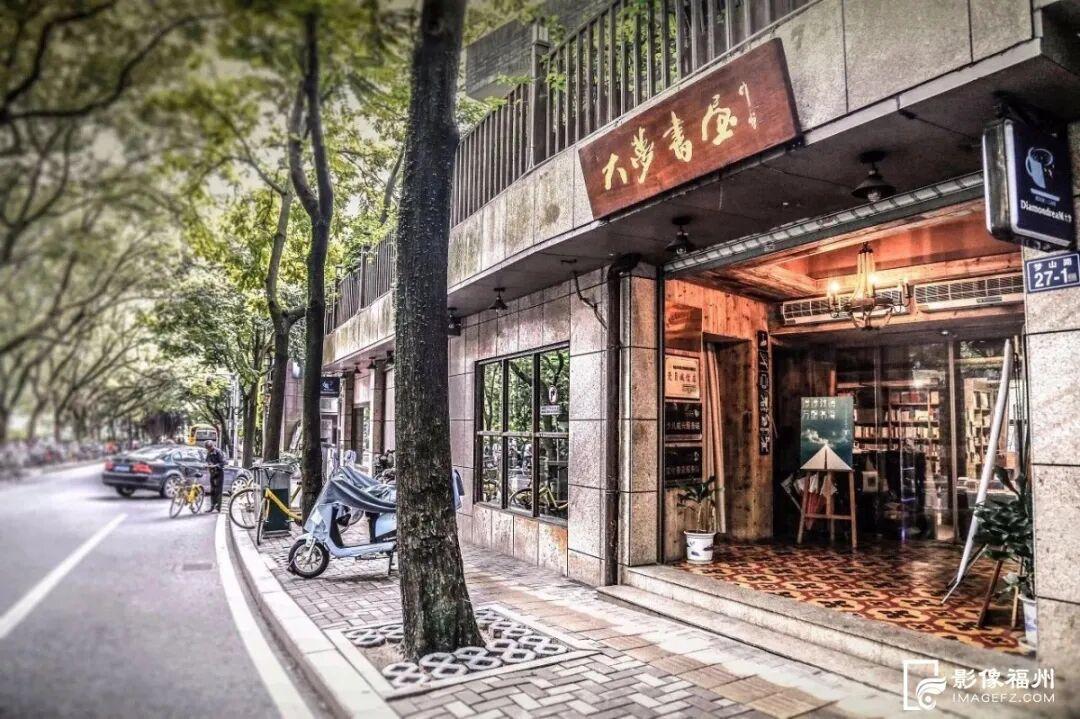 1月17日福州熊猫世界开放！快来和国宝大熊猫温暖相遇(图13)