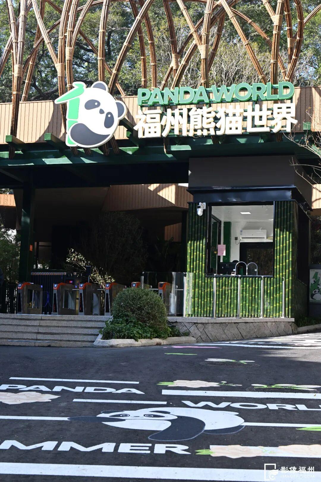 1月17日福州熊猫世界开放！快来和国宝大熊猫温暖相遇(图4)