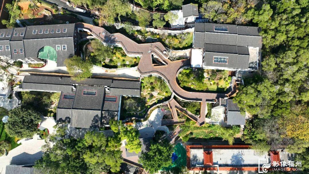 1月17日福州熊猫世界开放！快来和国宝大熊猫温暖相遇(图8)