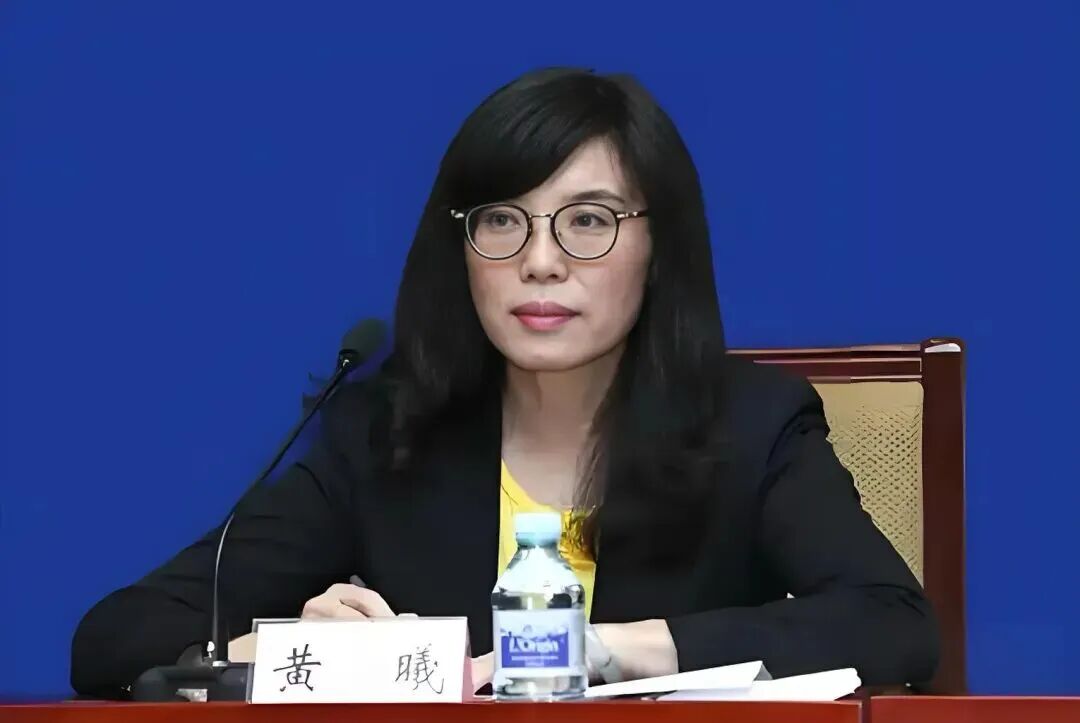 泰禾集团黄其森留置措施解除，曾两次经历类似程序后重返岗位(图5)