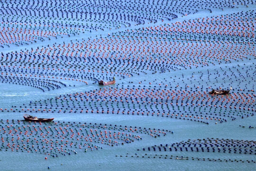 福建多地分享种地致富经，突破资源限制实现农业发展(图2)