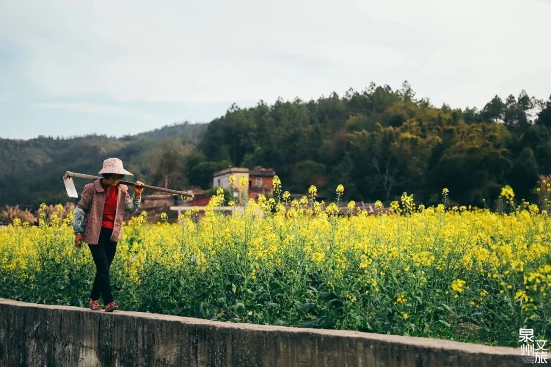 福建多地分享种地致富经，突破资源限制实现农业发展(图9)