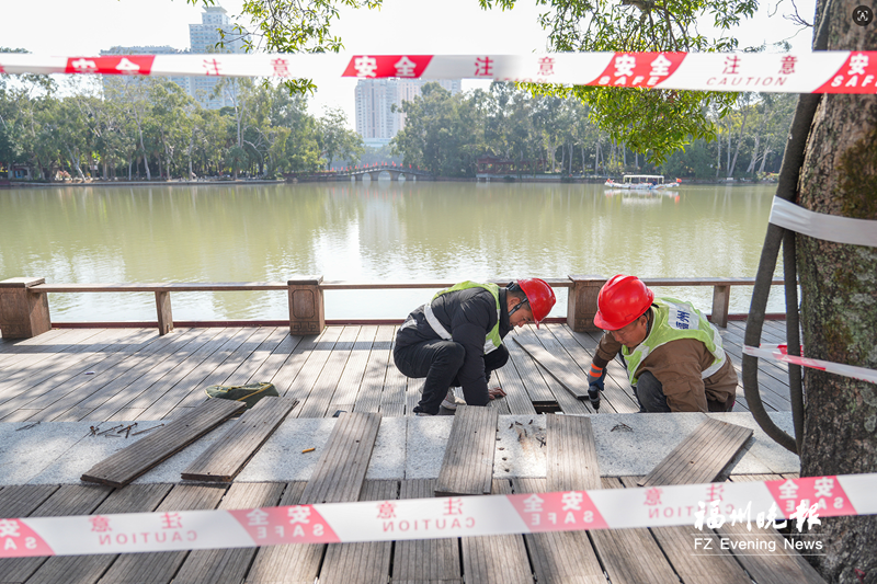 福州西湖环湖木栈道修缮翻新启动，春节前四段将完工(图1)