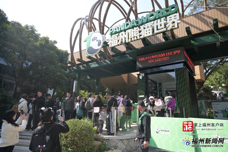 1月17日焕新升级的福州熊猫世界正式开放，速来打卡(图1)
