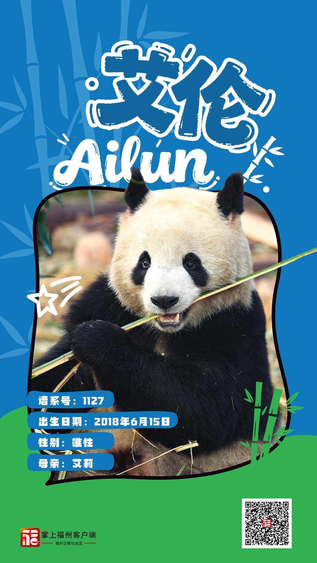 1月17日焕新升级的福州熊猫世界正式开放，速来打卡(图9)