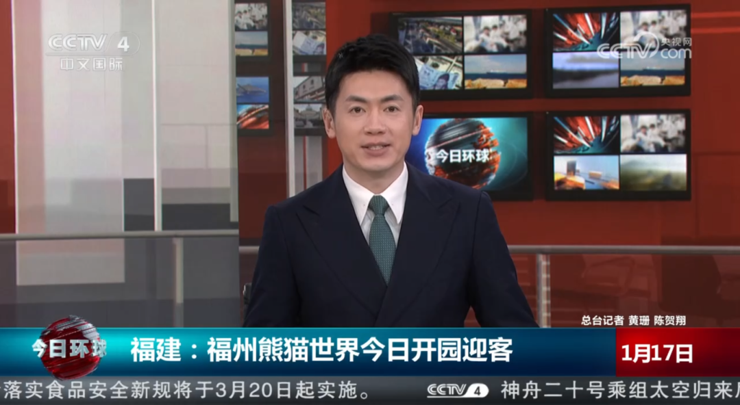 福州熊猫世界开园，五只大熊猫首秀亮相及熊生简历公开(图2)