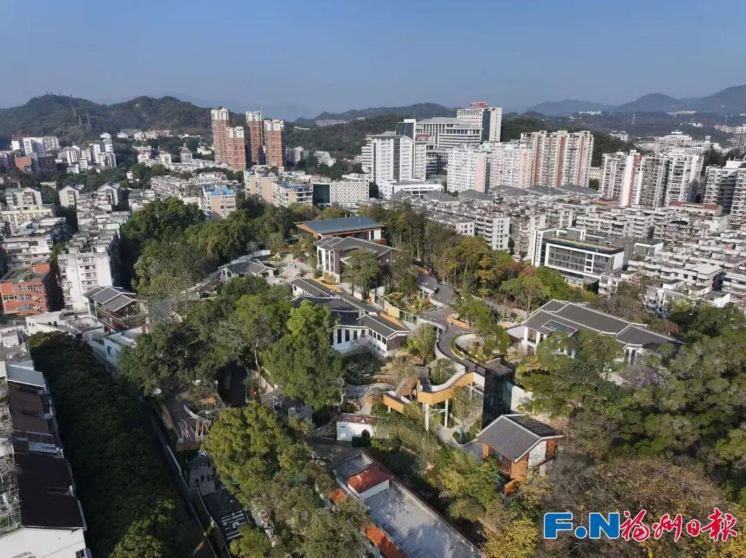 福州熊猫世界开园，五只大熊猫首秀亮相及熊生简历公开(图20)