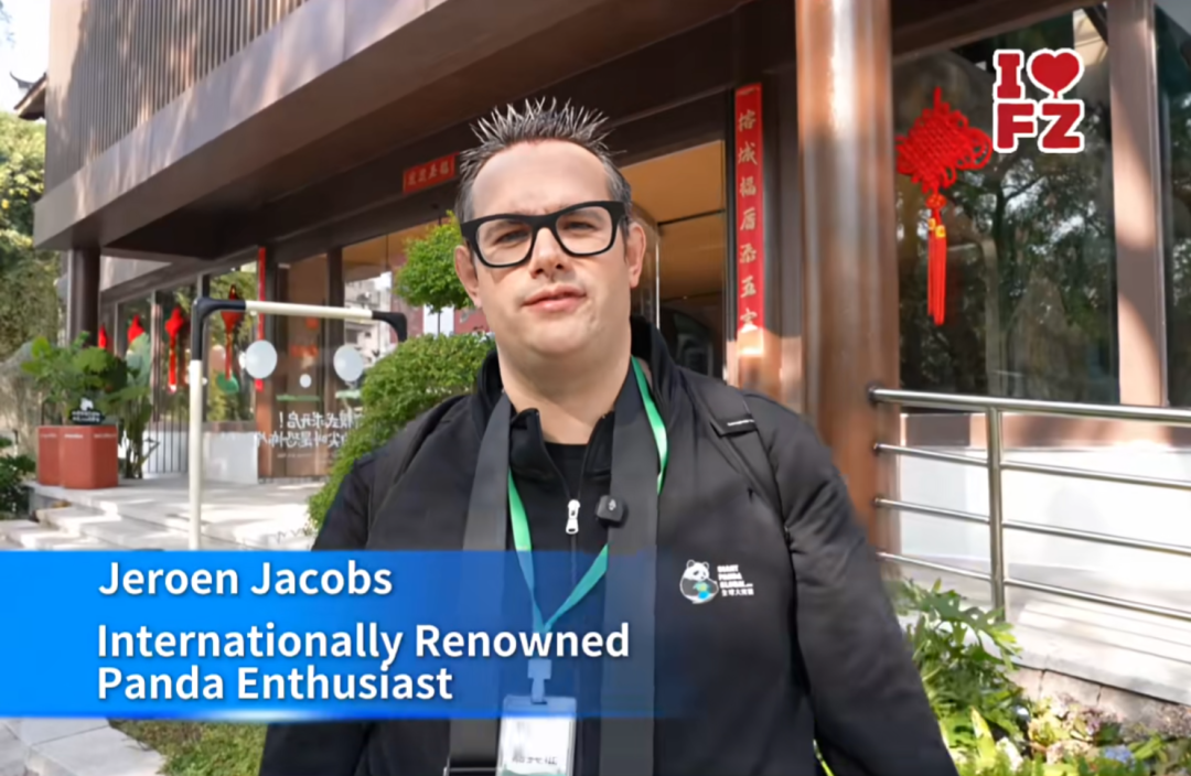 福州熊猫世界开园，五只大熊猫首秀亮相及熊生简历公开(图24)