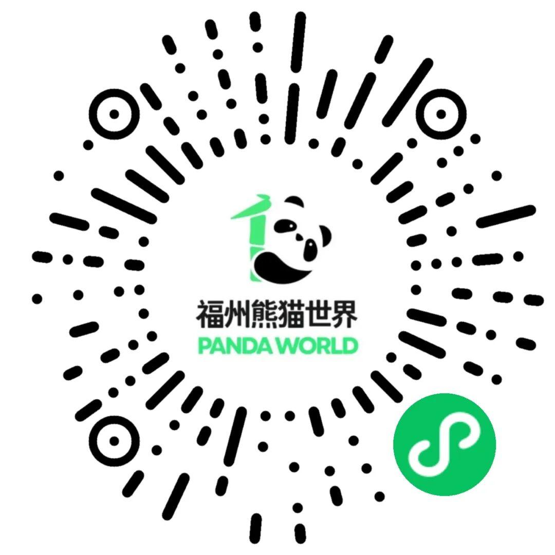 福州熊猫世界开园，五只大熊猫首秀亮相及熊生简历公开(图26)