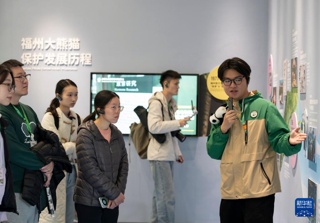 1月17日福州熊猫世界焕新开园，多只熊猫与公众见面啦(图6)
