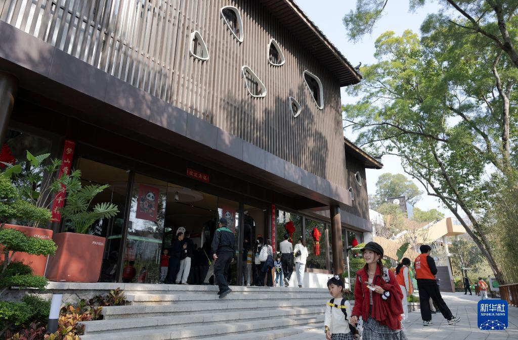 1月17日福州熊猫世界焕新开园，多只熊猫与公众见面啦(图8)