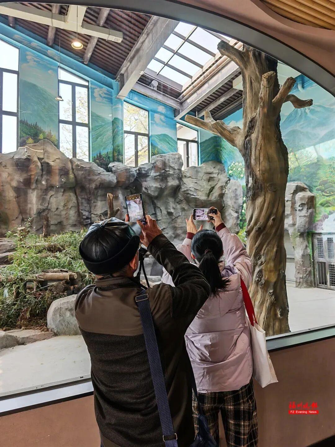 福州熊猫世界开园！70、80、90 后共同的熊猫童年记忆(图14)