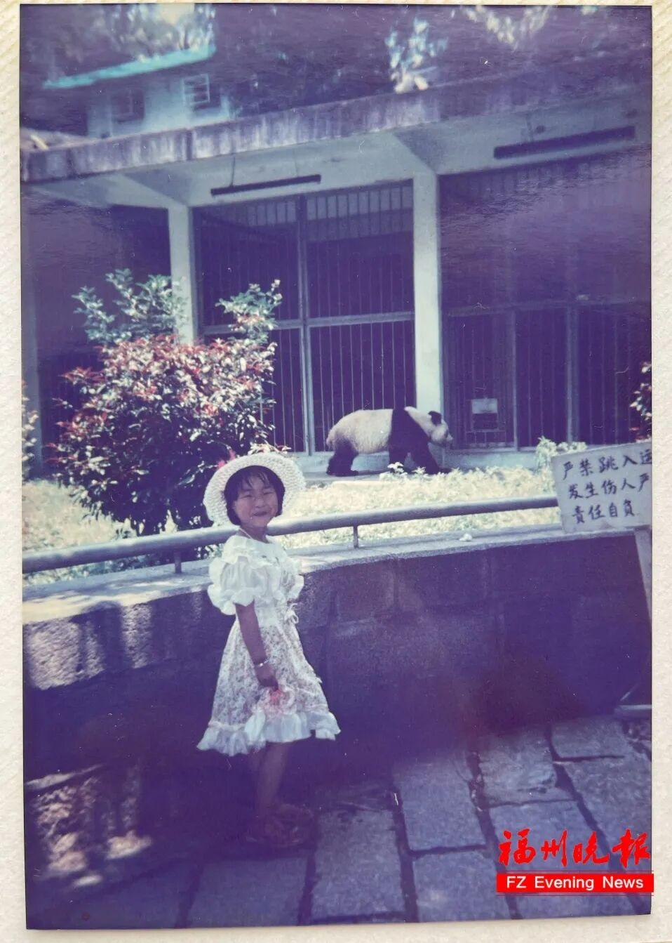 福州熊猫世界开园！70、80、90 后共同的熊猫童年记忆(图3)