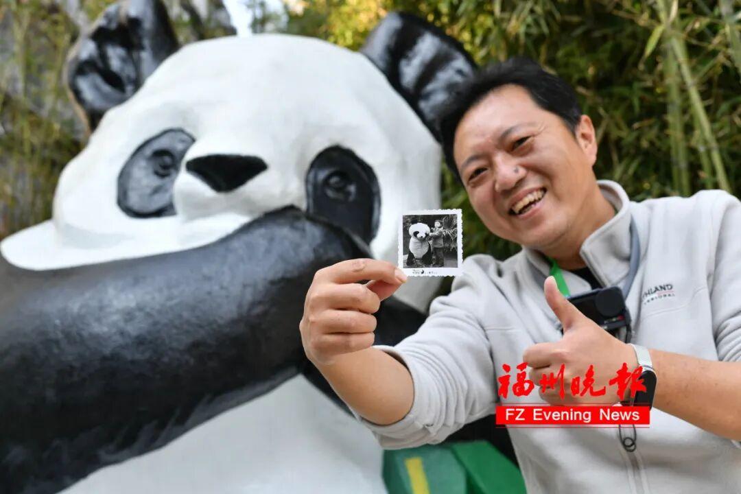 福州熊猫世界开园！70、80、90 后共同的熊猫童年记忆(图4)
