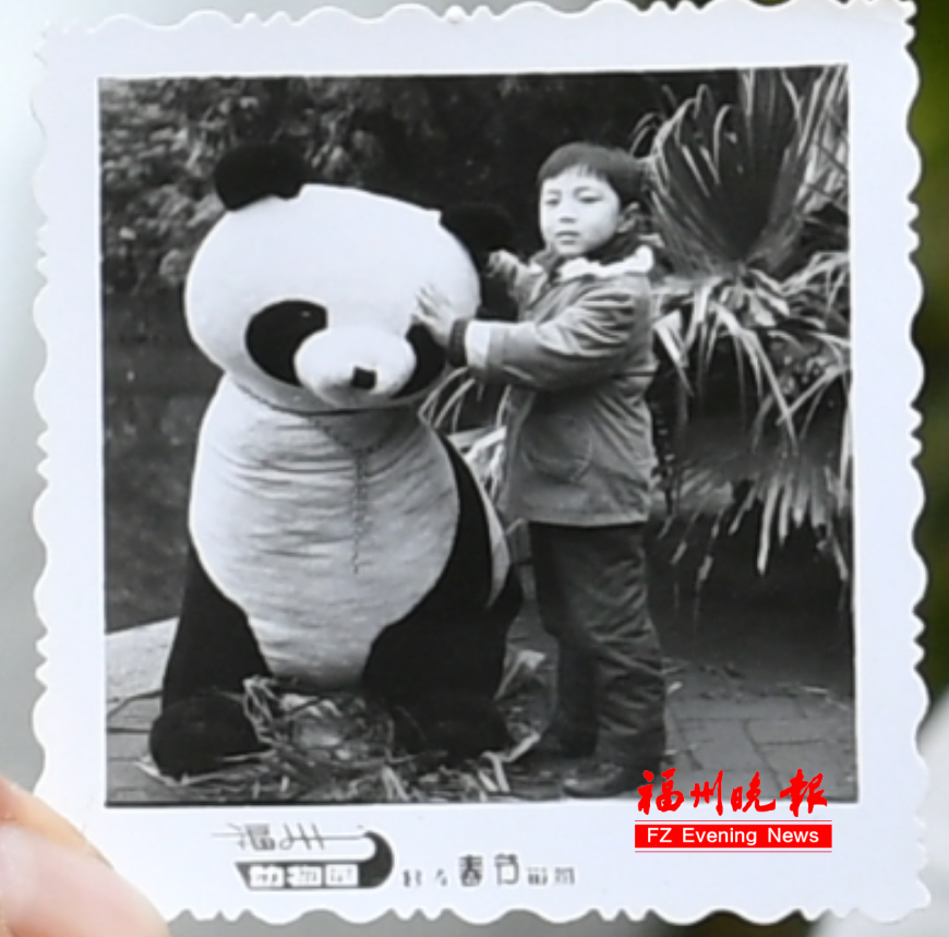 福州熊猫世界开园！70、80、90 后共同的熊猫童年记忆(图5)