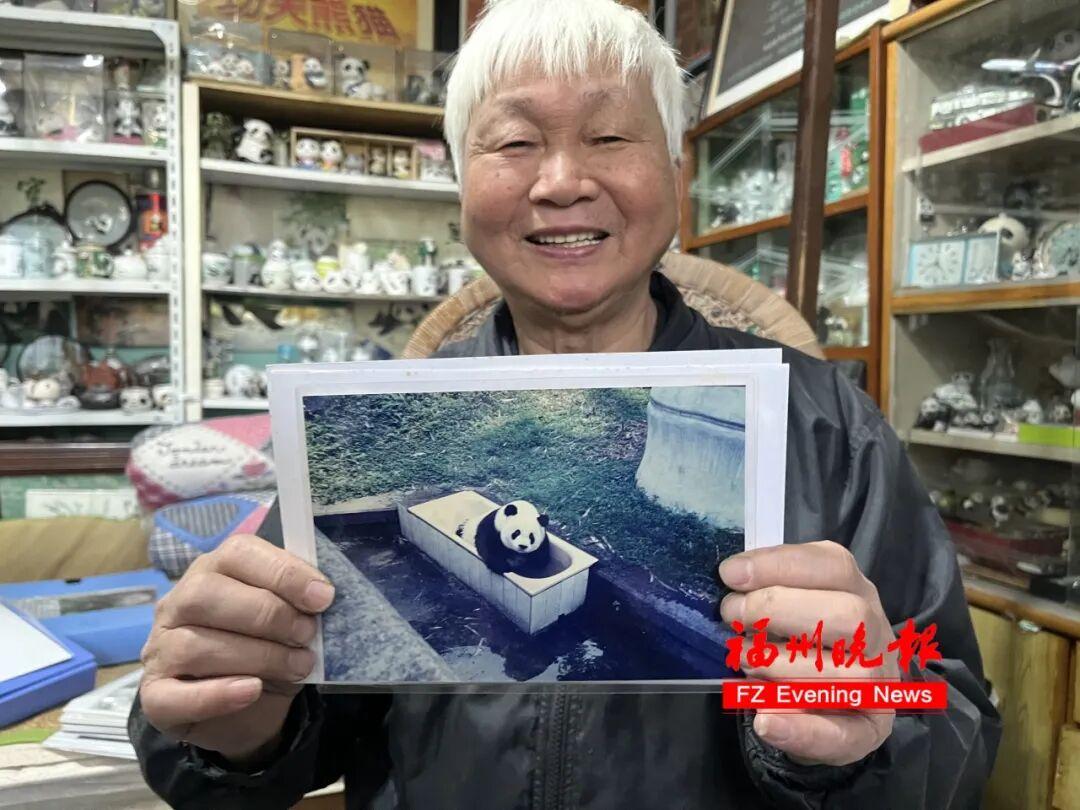 福州熊猫世界开园！70、80、90 后共同的熊猫童年记忆(图6)