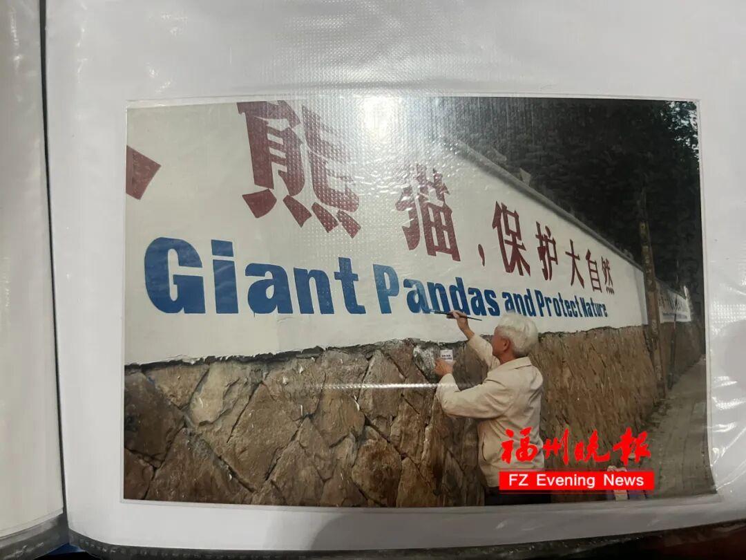 福州熊猫世界开园！70、80、90 后共同的熊猫童年记忆(图7)