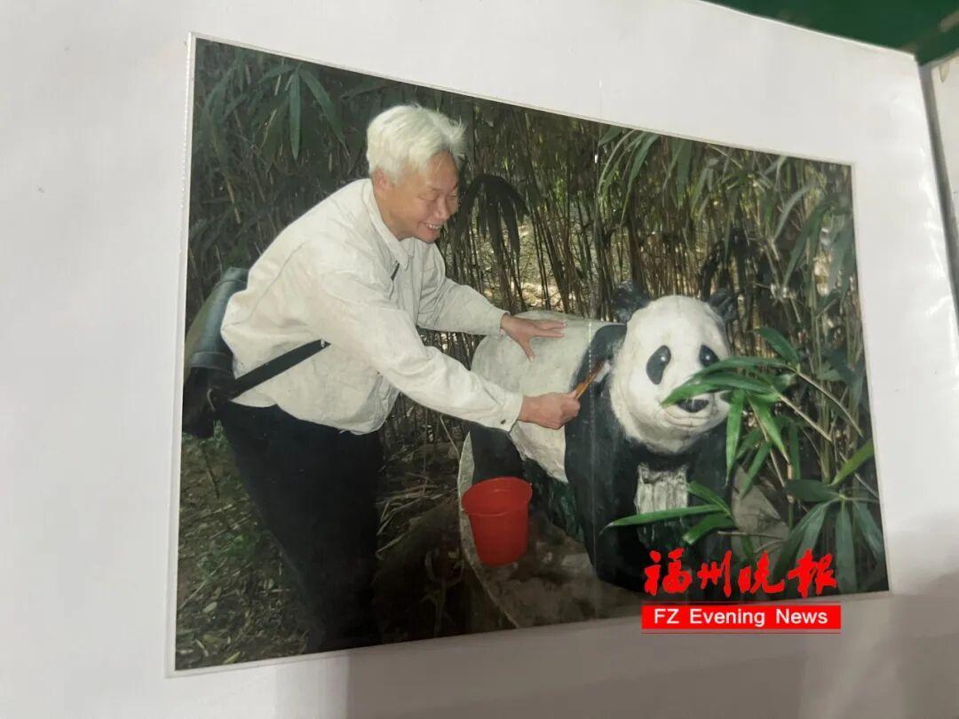 福州熊猫世界开园！70、80、90 后共同的熊猫童年记忆(图8)