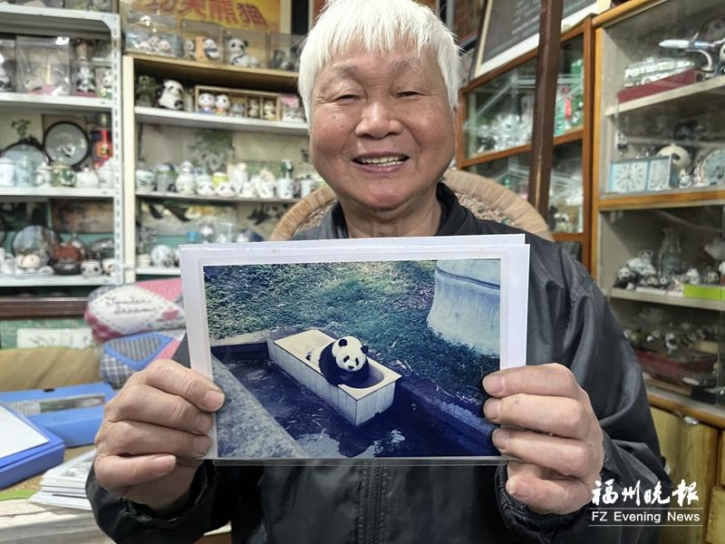 福州熊猫世界焕新开园，唤起几代人关于熊猫的共同记忆(图5)