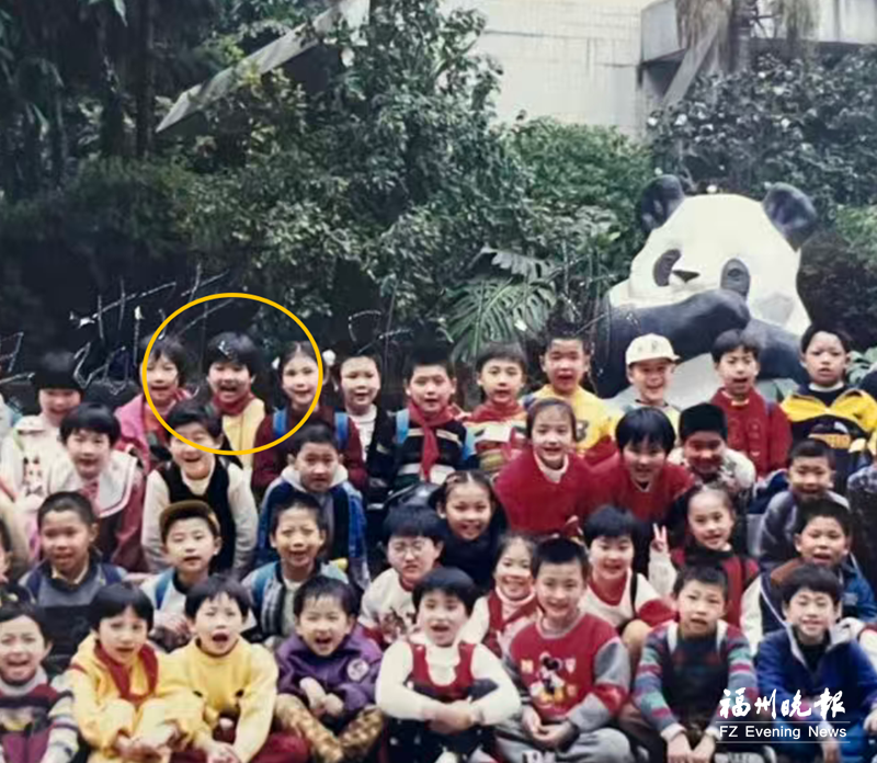 福州熊猫世界焕新开园，唤起几代人关于熊猫的共同记忆(图6)