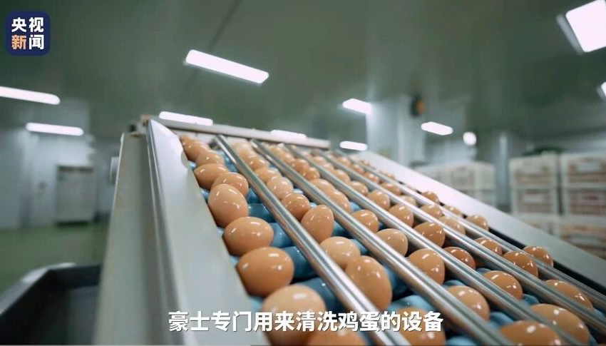 豪士面包：从家庭烘焙坊到全国知名，背后故事你知道吗？(图4)