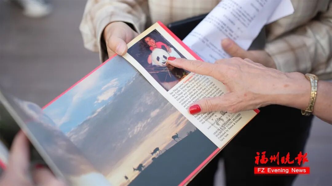 70 多岁美国女士乔治妮千里来榕会熊猫‘巴斯’(图5)