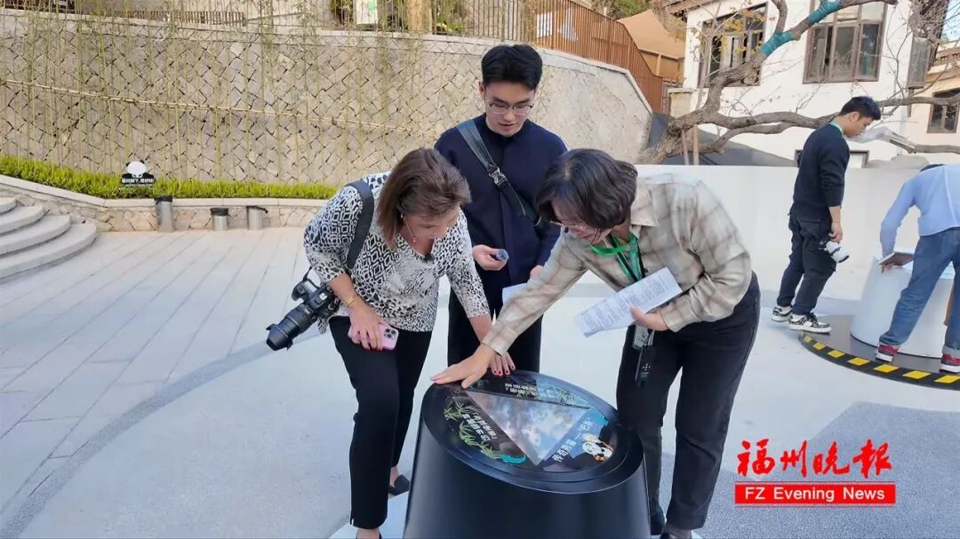 70 多岁美国女士乔治妮千里来榕会熊猫‘巴斯’(图9)