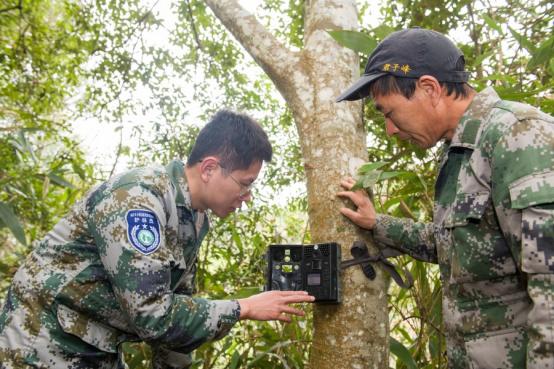 福建智慧林业进阶：123工程编织全省全天候立体防护网(图2)