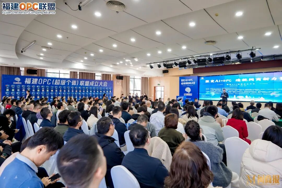 一人公司是什么？福建厦门成立首个OPC社区提供支持(图10)