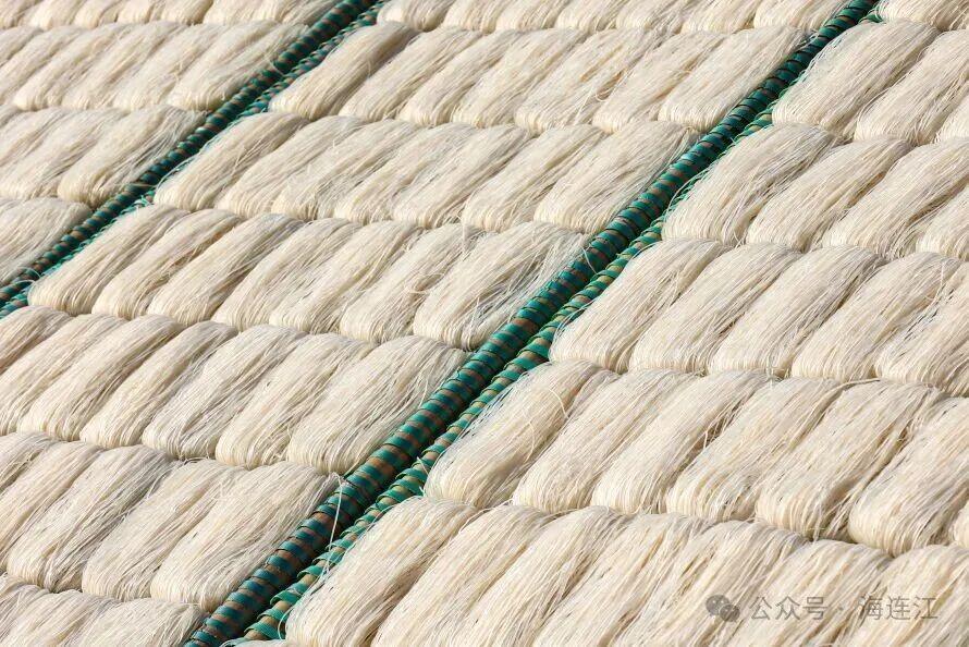 福州连江冬日美味：霜打白菜、仁山白粿、东岱白粿面上市啦(图9)