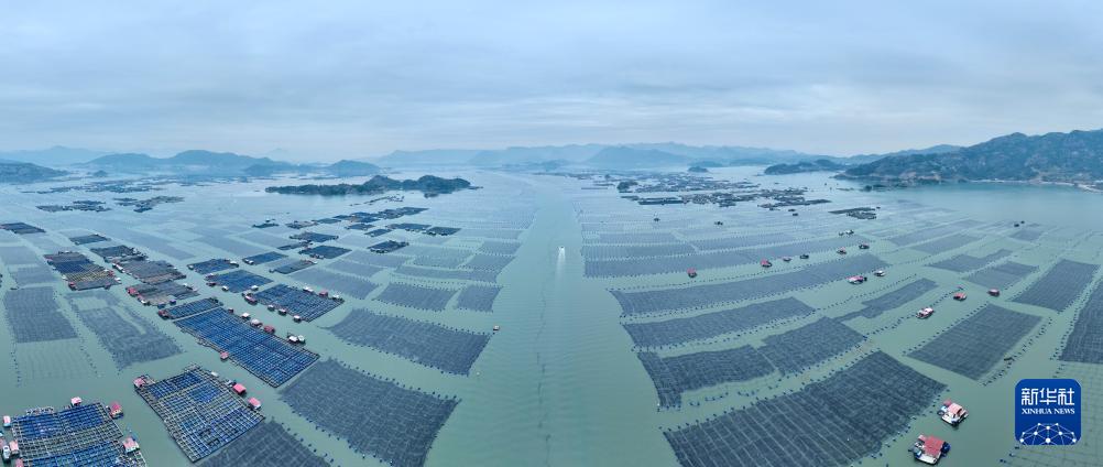 福建宁德冬季海上养殖忙，促产业发展助乡村振兴(图5)