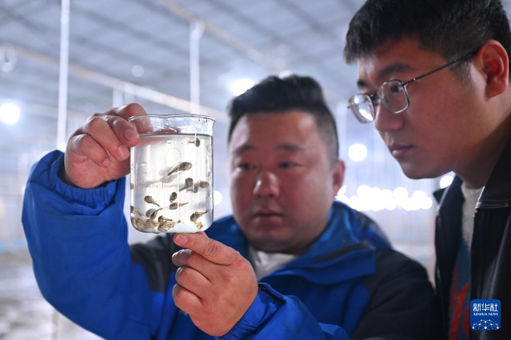 福建宁德冬季海上养殖忙，促产业发展助乡村振兴(图7)