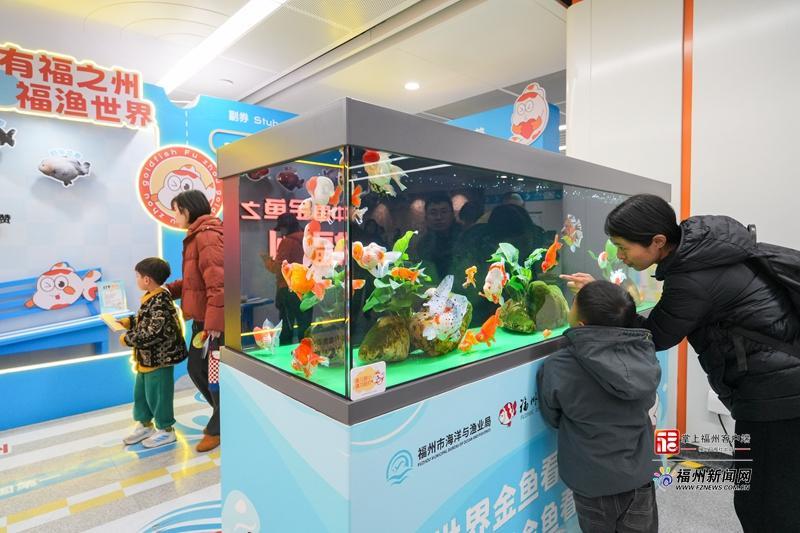 2026福州金鱼城市移动会客厅新春首站启，市民纷纷打卡(图1)