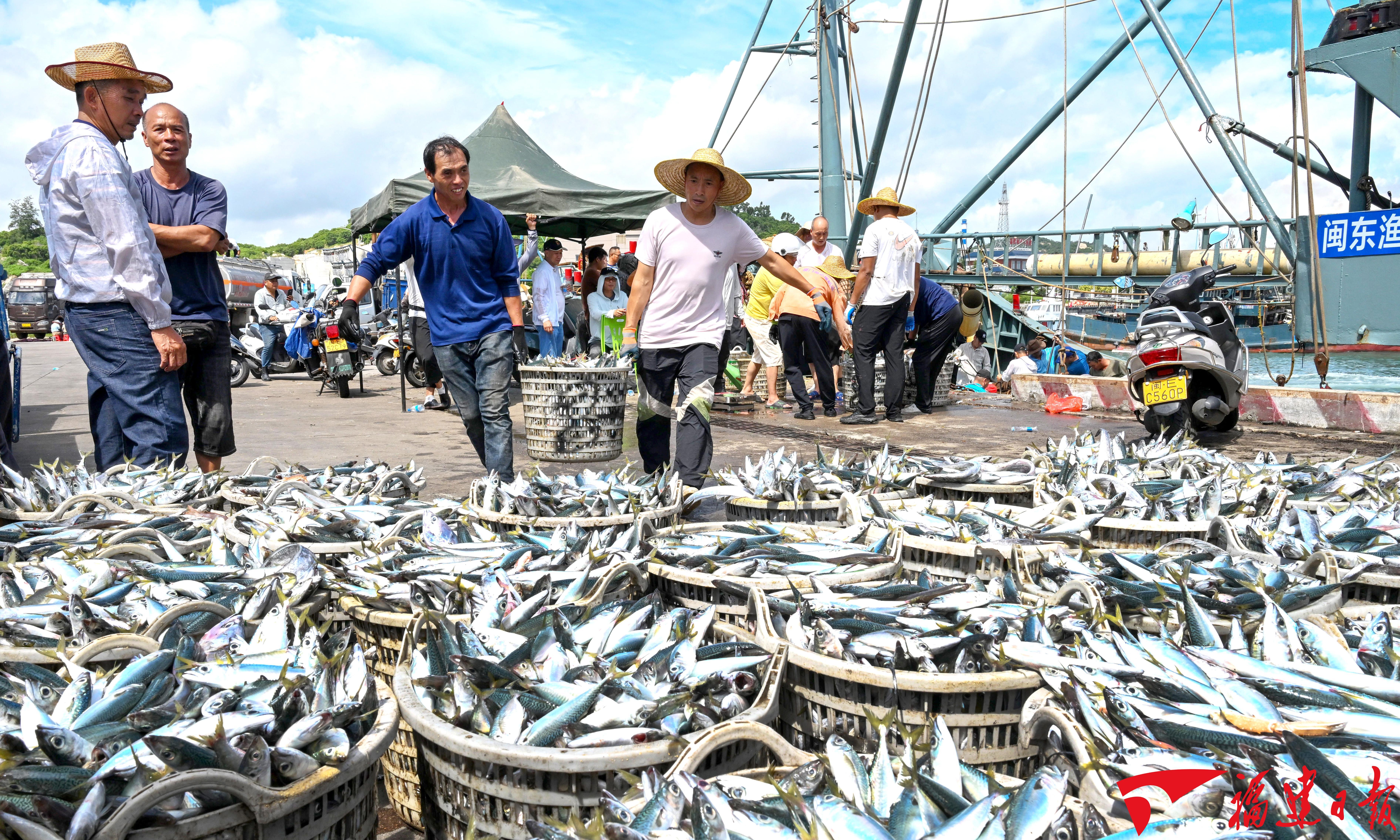 2026年1月26日福建日报：福建十四五高质量发展答卷(图16)