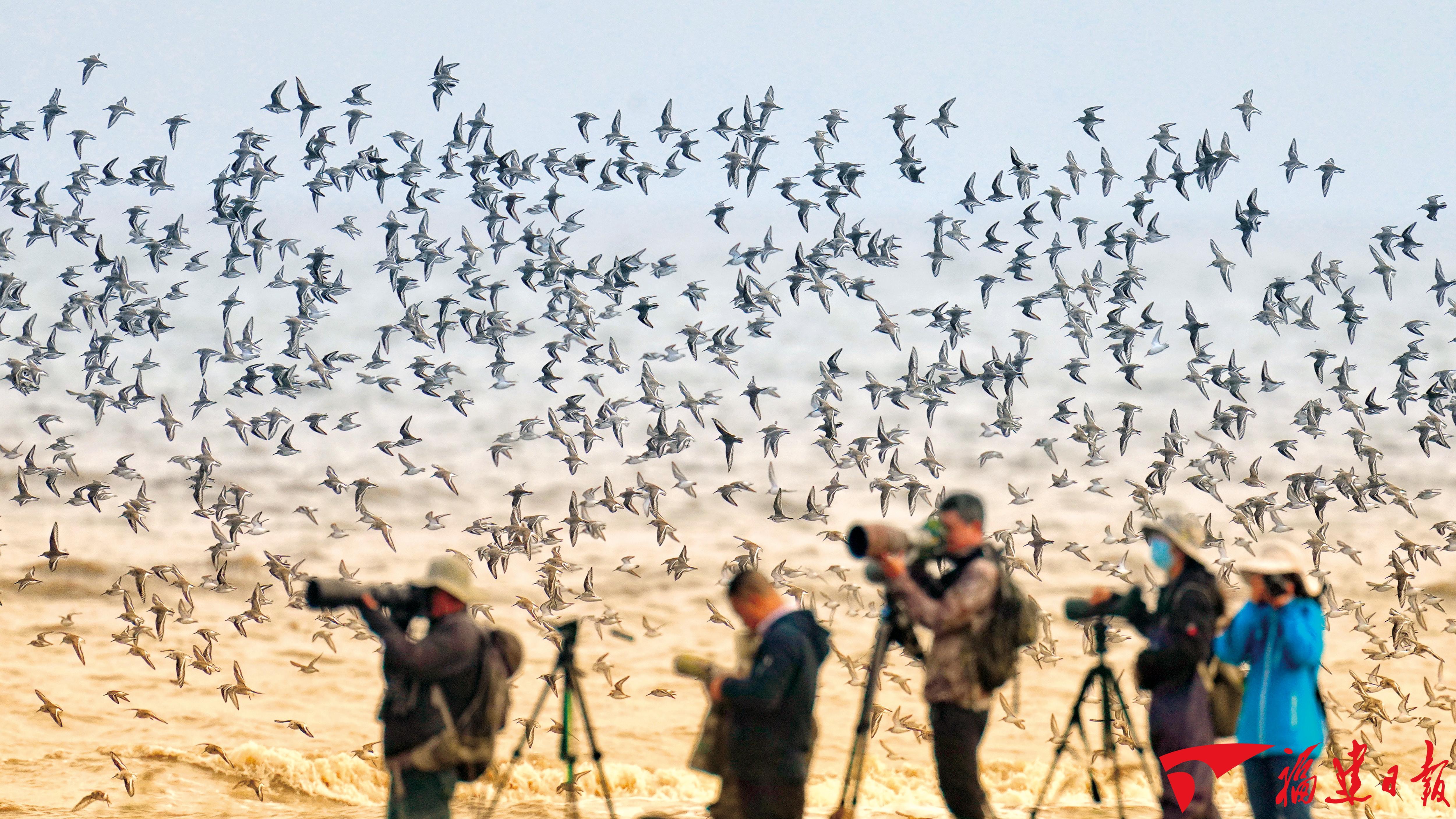 2026年1月26日福建日报：福建十四五高质量发展答卷(图17)