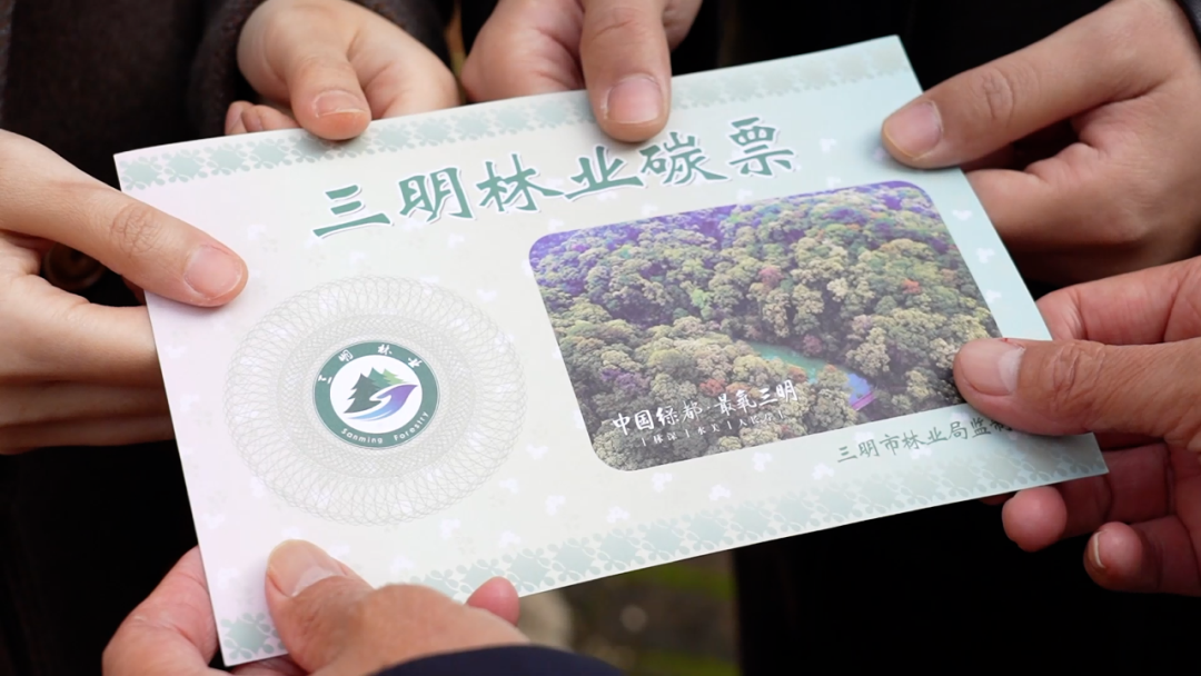 2026福建两会回望五年征途，探寻习近平总书记指引下的出彩密码(图9)