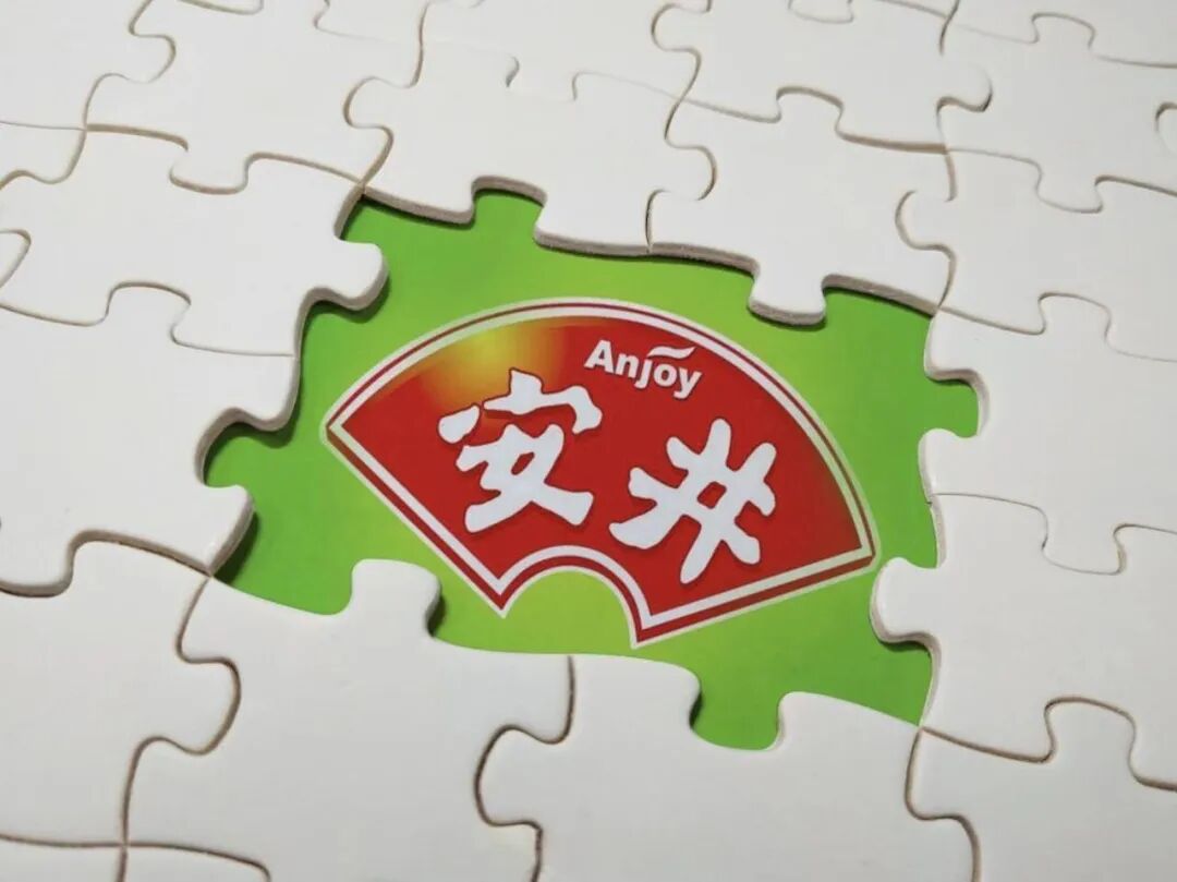 安井食品获资本市场两份关注，巨额资金管理与国际资本布局(图2)