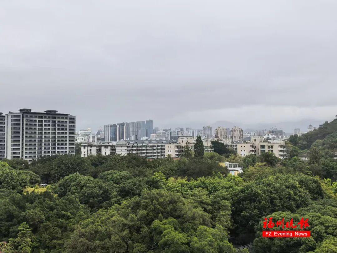 福州天气大揭秘！冷空气南下+降水+大风预警全知道(图1)