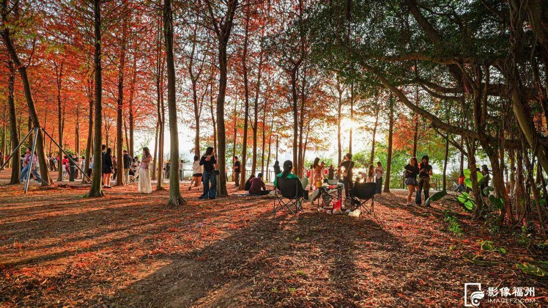 世界湿地日看福州湿地，赏生态绿与静谧蓝，观候鸟栖息(图10)