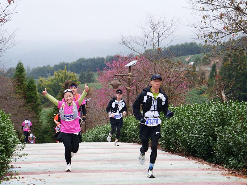 2026清流大丰山越野赛开跑！四条路线匹配不同需求(图2)