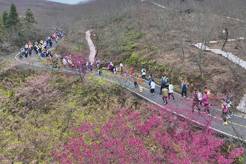 2026清流大丰山越野赛开跑！四条路线匹配不同需求(图3)