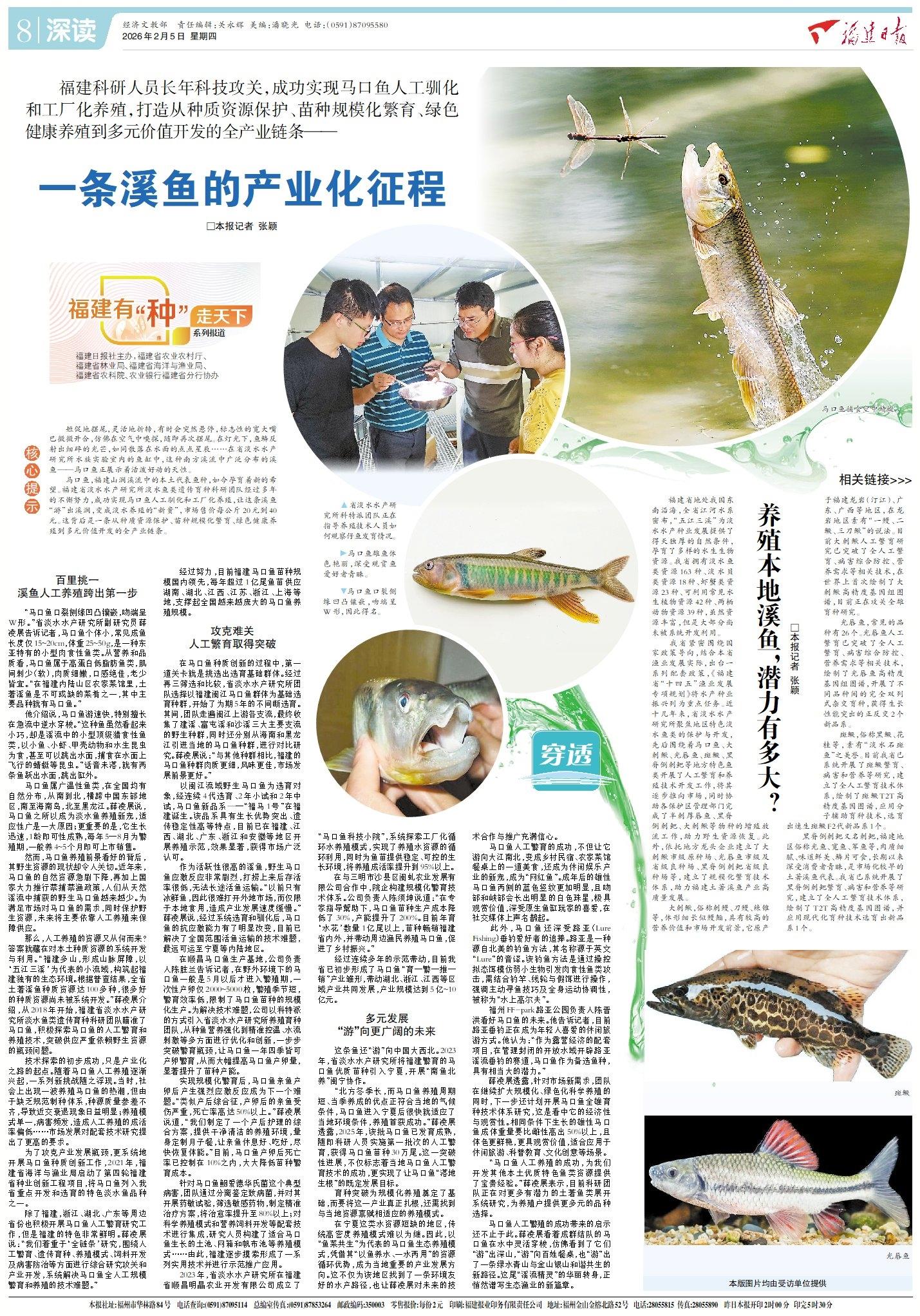 福建科研团队实现马口鱼人工驯化，成淡水养殖新贵(图1)