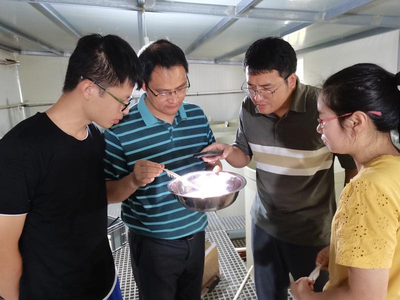 福建科研团队实现马口鱼人工驯化，成淡水养殖新贵(图3)