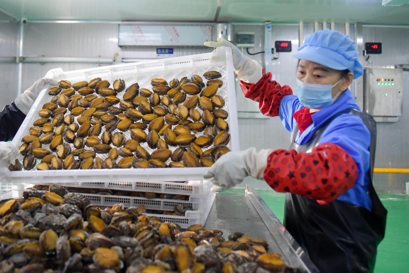 年关将至罗源新能源企业忙生产，小县如何蓄势腾飞？(图2)